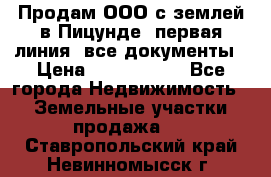 Продам ООО с землей в Пицунде, первая линия, все документы › Цена ­ 9 000 000 - Все города Недвижимость » Земельные участки продажа   . Ставропольский край,Невинномысск г.